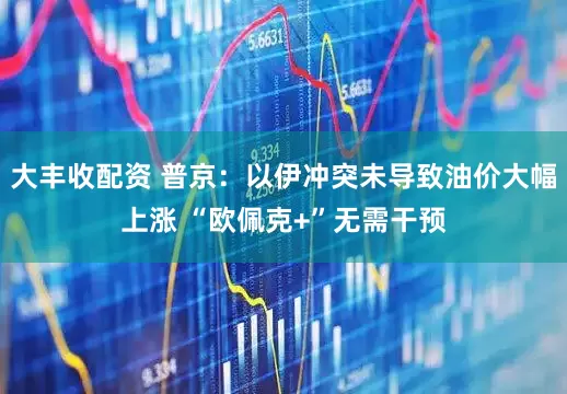 大丰收配资 普京：以伊冲突未导致油价大幅上涨 “欧佩克+”无需干预