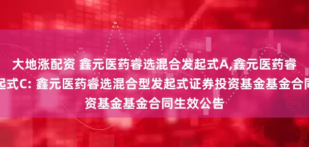 大地涨配资 鑫元医药睿选混合发起式A,鑫元医药睿选混合发起式C: 鑫元医药睿选混合型发起式证券投资基金基金合同生效公告