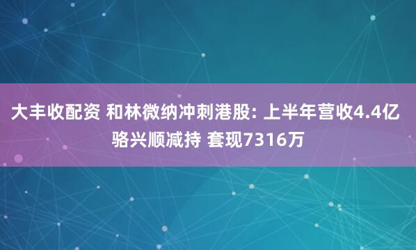 大丰收配资 和林微纳冲刺港股: 上半年营收4.4亿 骆兴顺减持 套现7316万